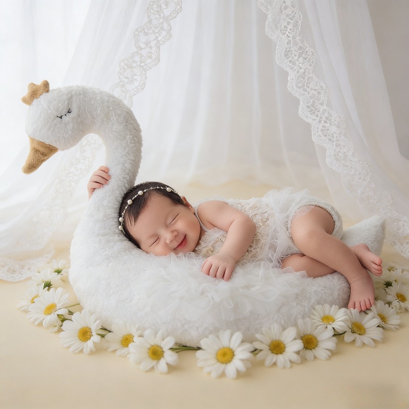 Newborn Photography Prop Swan  - Baby Nursery Set review and price