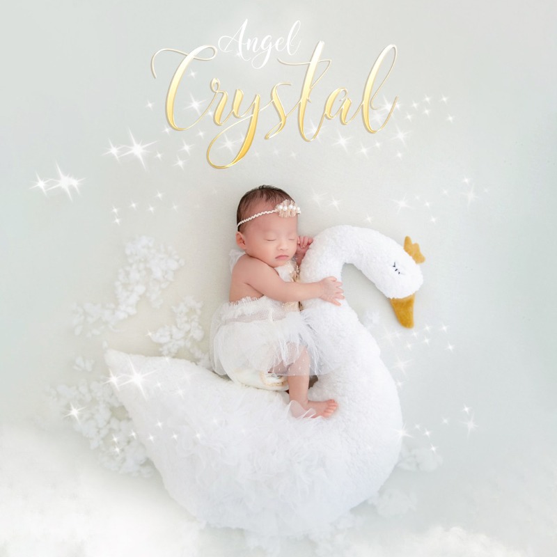 Newborn Photography Prop Swan  - Baby Nursery Set review and price