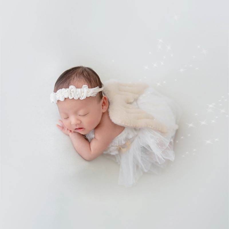 Newborn Photography Prop Swan  - Baby Nursery Set review and price