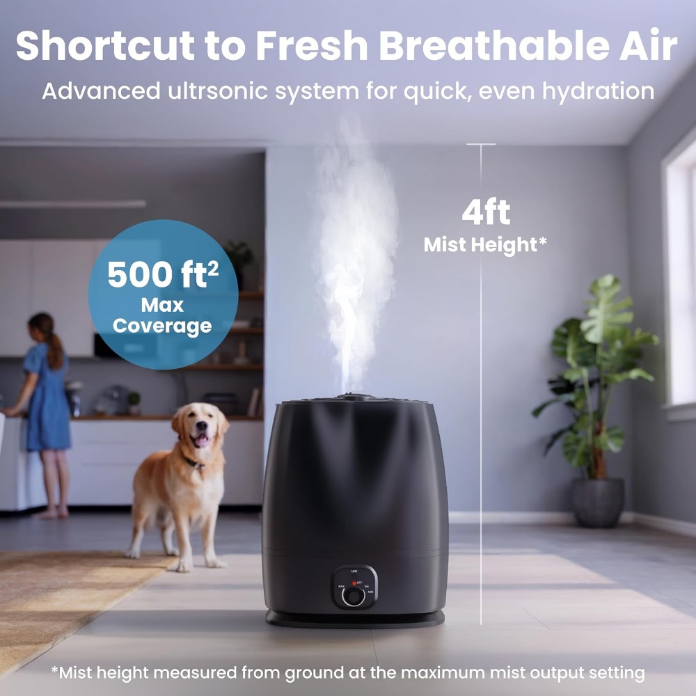 6L Quiet Bedroom Humidifier, 5 - Humidifier Nursery Quiet review and price